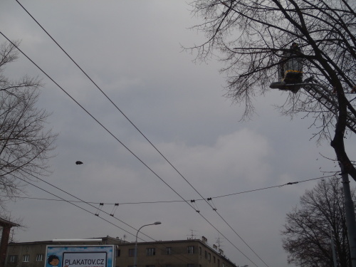 havransilonOstrava (6).JPG