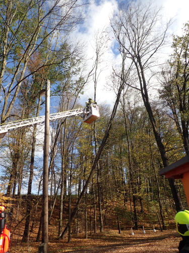 jasanzavesenyVojkovice (1 FM).JPG