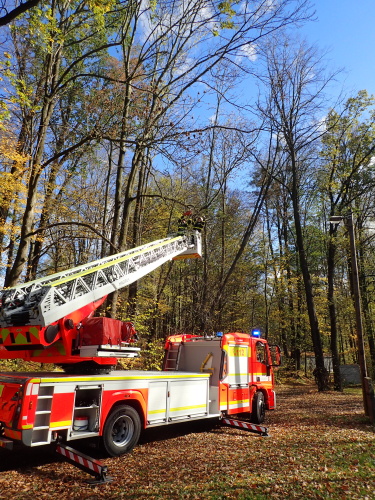 jasanzavesenyVojkovice (2).JPG