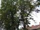 kacenikastantrzniceBohumin (16)