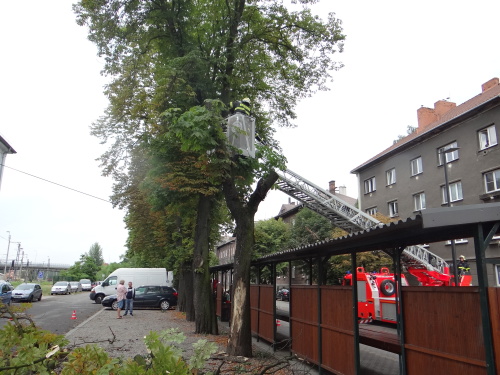 kacenikastantrzniceBohumin (21).JPG