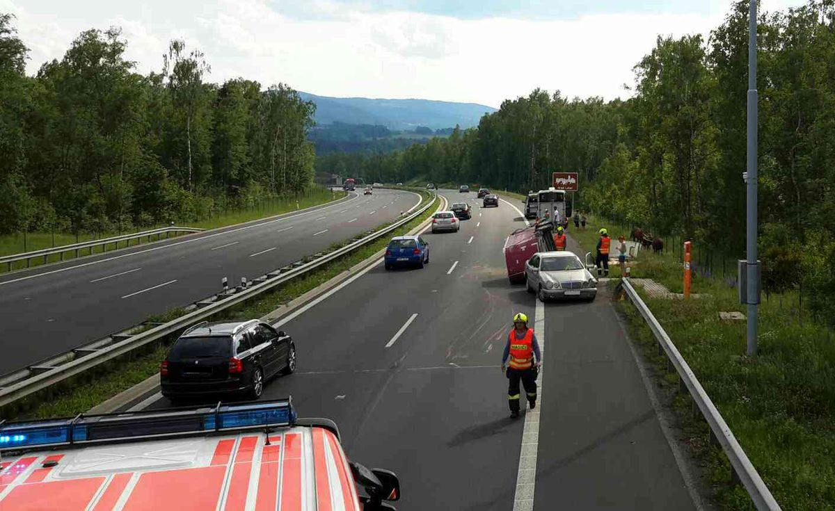 koně_04.jpg