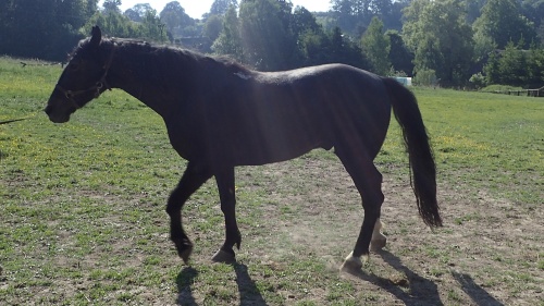 kunstajBudisovnadBudisovkou (3).jpg