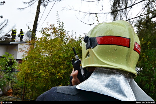 lach_vitr_MSK_OV_9.JPG