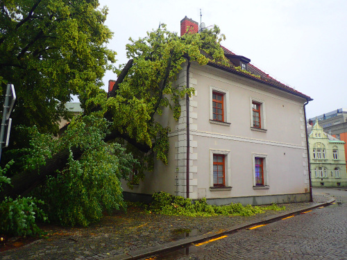 lipacirkevOpava (2).JPG