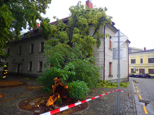 lipacirkevOpava (1).JPG