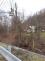 nalomeny_strom_Stara_Ves_BC_NJ_3