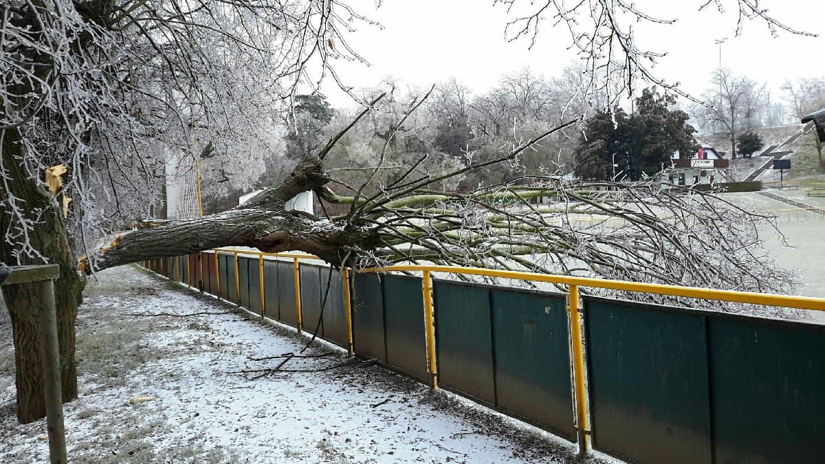 následky ledovky v JmK (9) - Hrušovany nad Jevišovkou.jpg