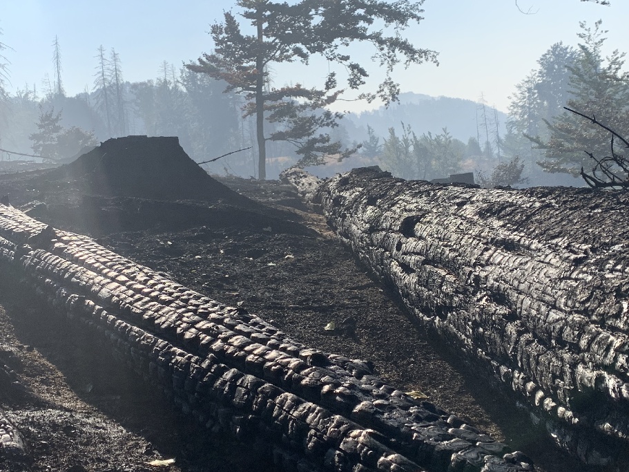 odřad hasičů z Plzeňského kraje ve Hřensku (11).JPG