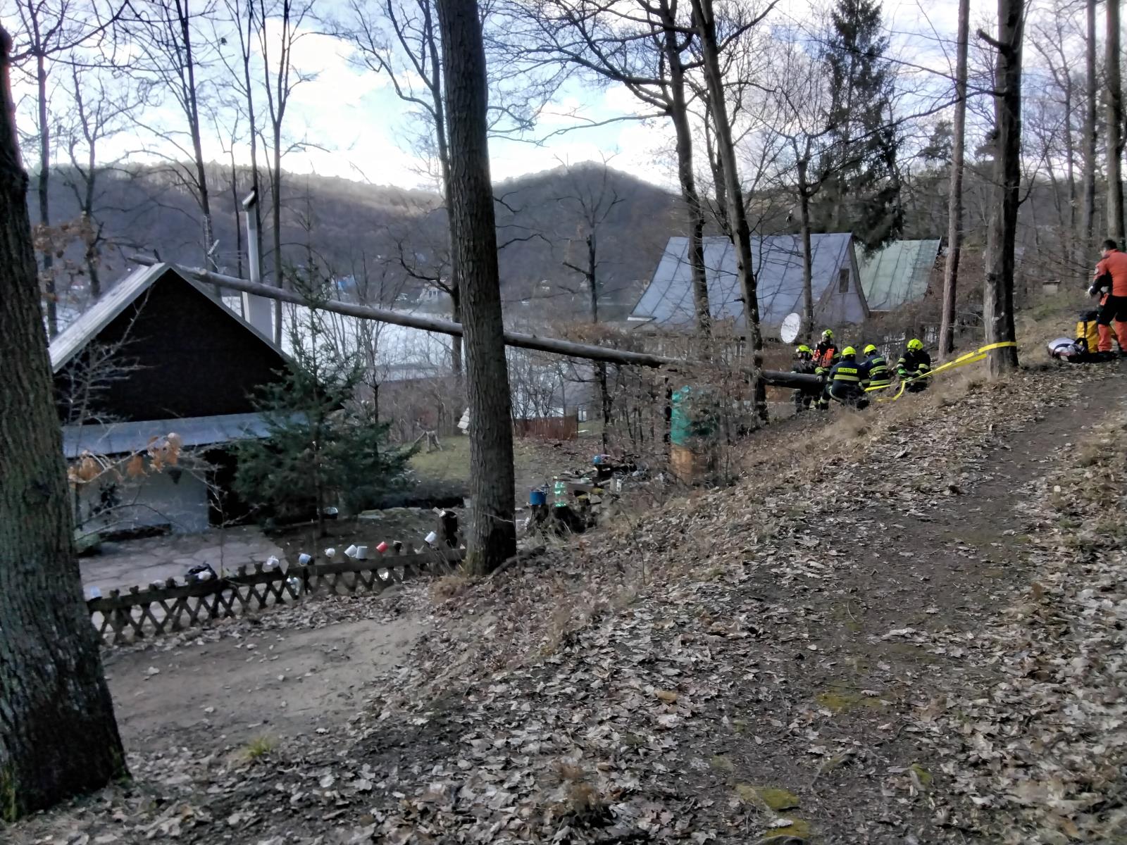 odstranění stromu (4).jpg