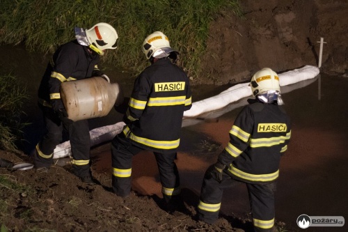 olejunikSezinaBravantice (NJ) I večer  (7).jpg