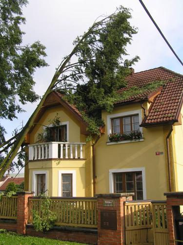 padlý strom na RD