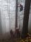 paraglidistkasmrkBeskydy_Javorovy (3)