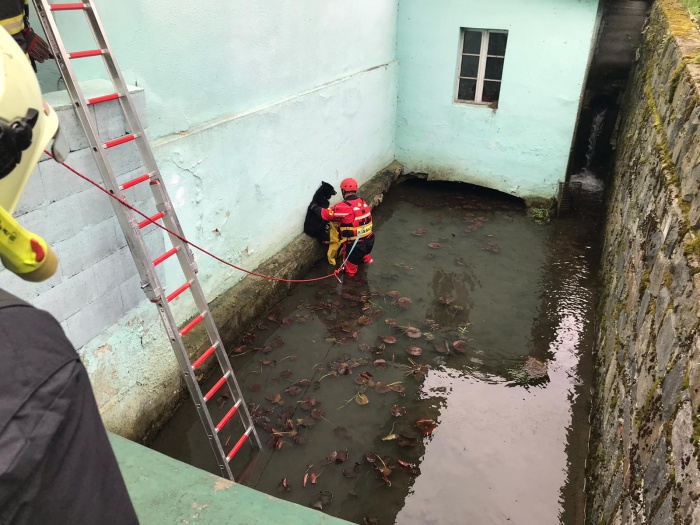 pesnahonKyjovice (2).jpg