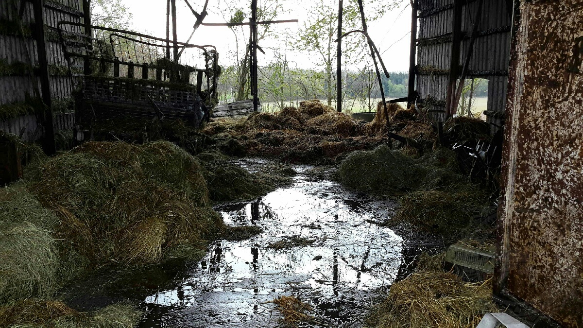 požár Němčice25-4-2020d.jpg