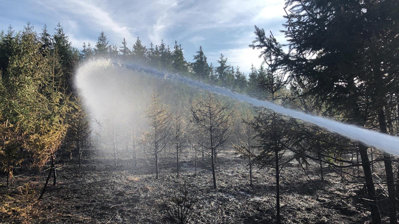 pozar lesa Otaslavice