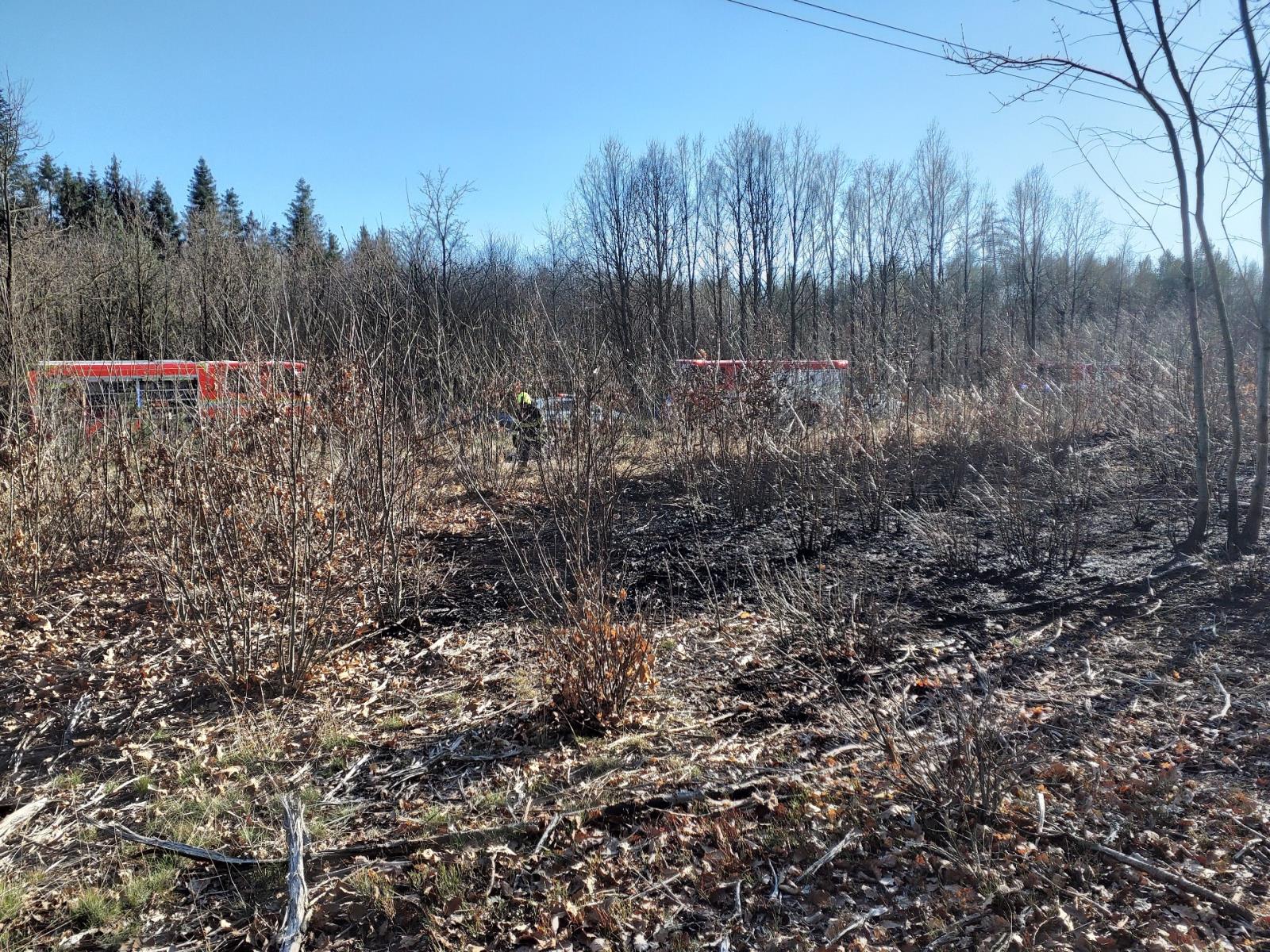 požár lesa u Dobříkova 2.jpg