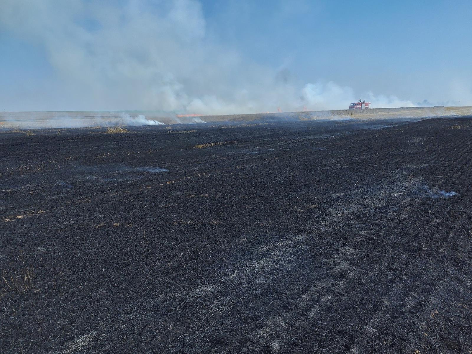 požár pole (4).jpg