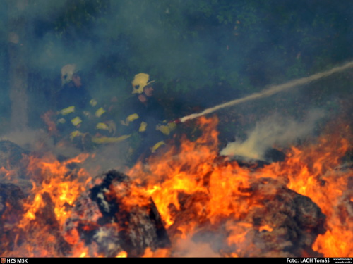 pozarbalikylenstromyOstrava (8).JPG