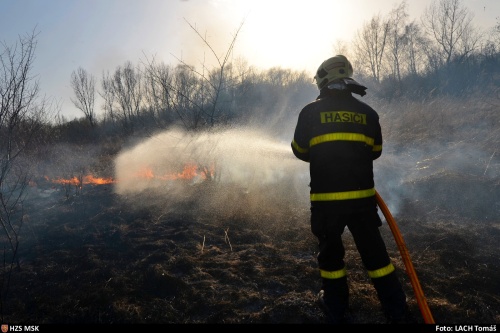 pozarhalda5haOVKuncicky (5).jpg