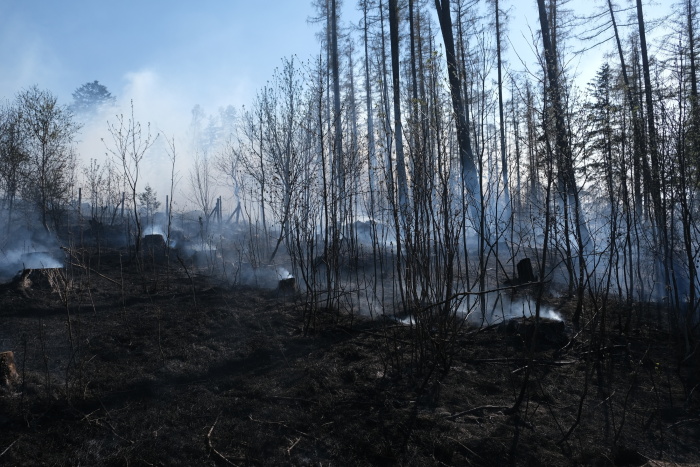 pozarlesKrasov (2).JPG