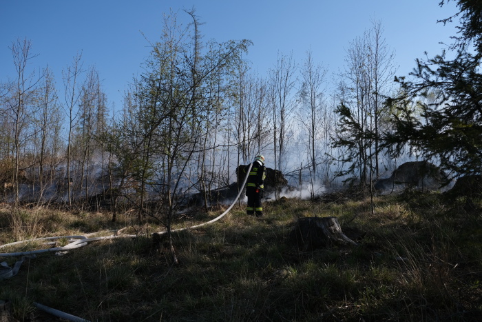 pozarlesKrasov (3).JPG