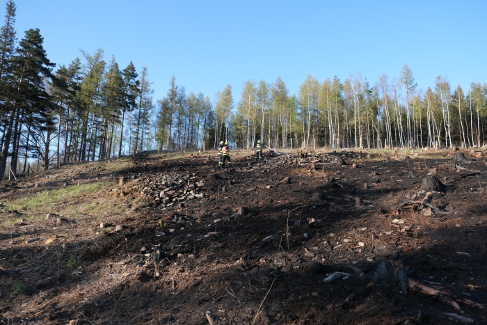 pozarlesKrasov (6).JPG