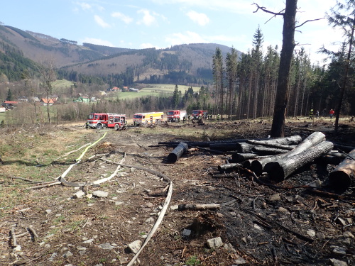 pozarlesLhotka (8).JPG