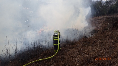 pozarlesNavsi (5).jpg