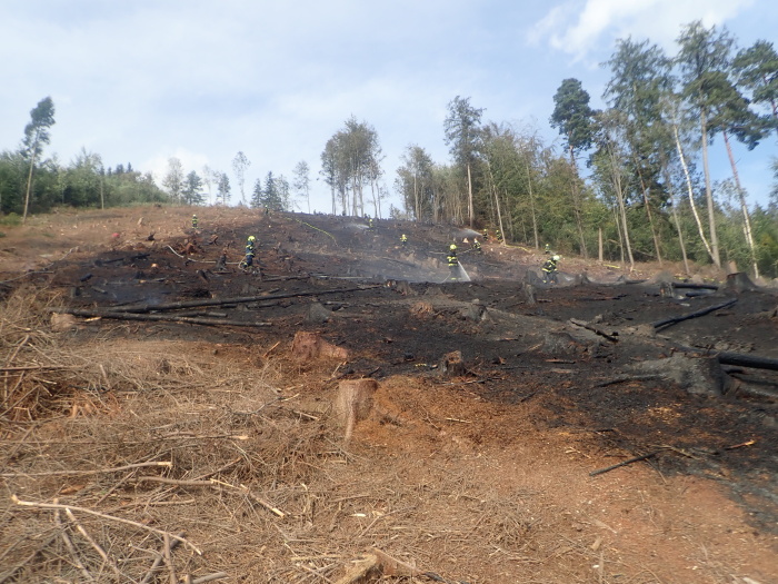 pozarlesOndrejnik_II (10).JPG