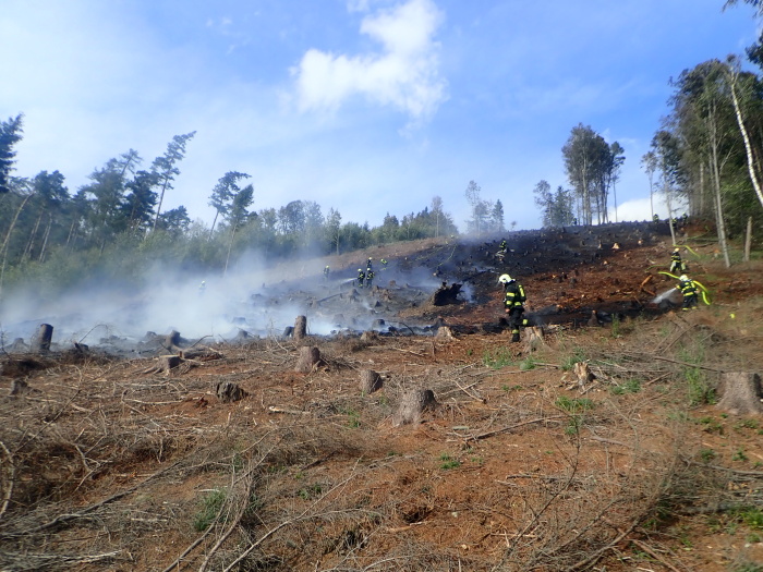 pozarlesOndrejnik_II (9).JPG