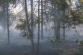 pozarlesSkripov_I (6)