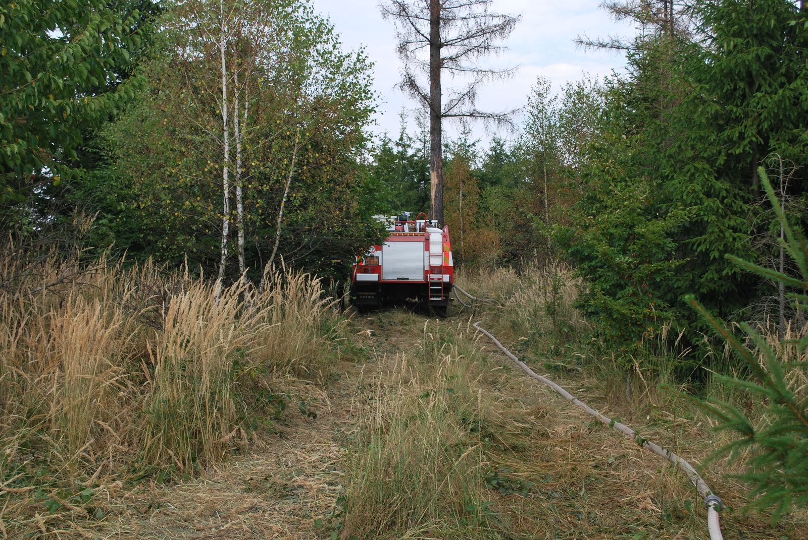 pozarlesSpalov/pozarlesSpalov (02.JPG