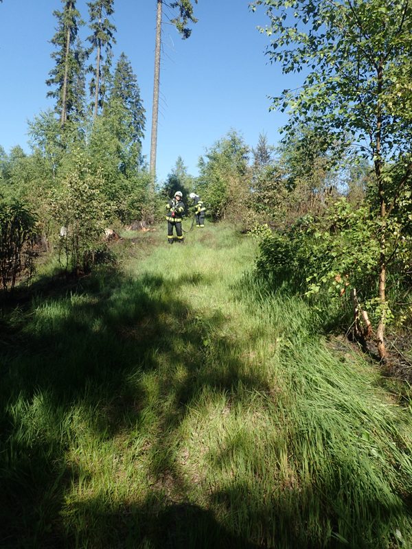 pozarlesStribrnykopec (11).JPG
