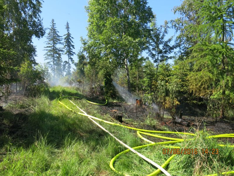 pozarlesStribrnykopec (19).jpg