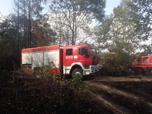 pozarlesstrnisteSlezskeRudoltice (20).JPG