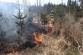 pozarlestravaBruntal (6)