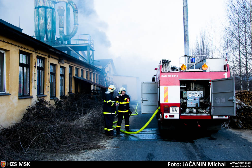 pozarpilaHlucin_Jacanin (1).jpg