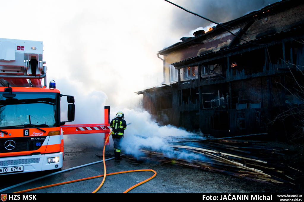 pozarpilaHlucin_Jacanin (12).jpg