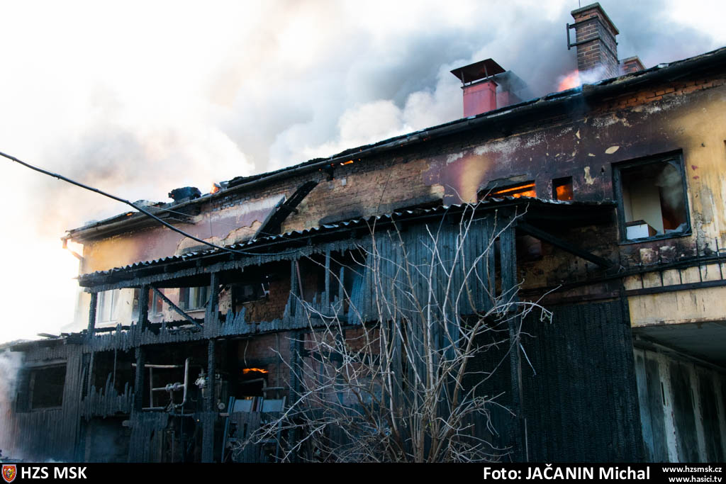 pozarpilaHlucin_Jacanin (14).jpg