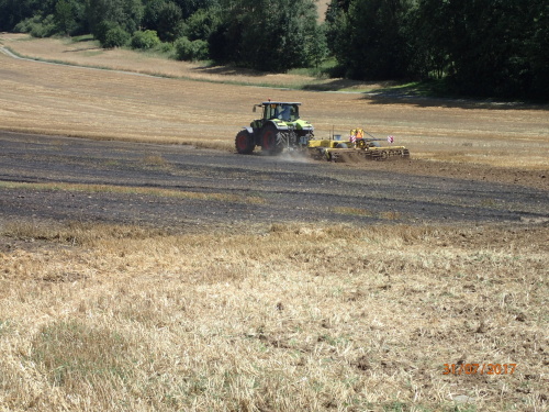 pozarpole5haHostalkovy (8).JPG