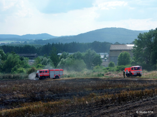 pozarpolejecmenDivciHrad_II (10).JPG