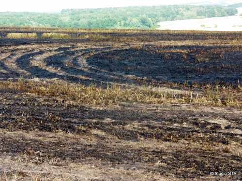 pozarpolejecmenDivciHrad_II (15).JPG