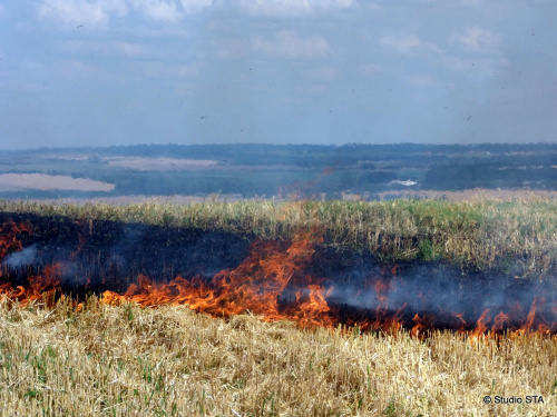 pozarpolejecmenDivciHrad_II (2).JPG