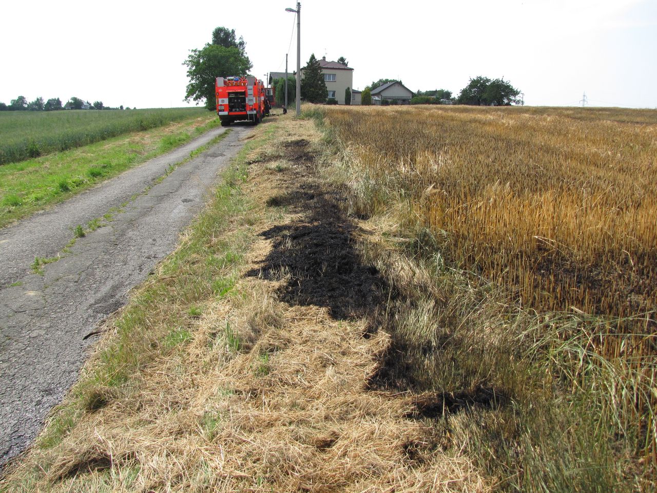 pozarpoleobiliDolniLutyne/pozarpoleobiliDolniLutyne (11).JPG