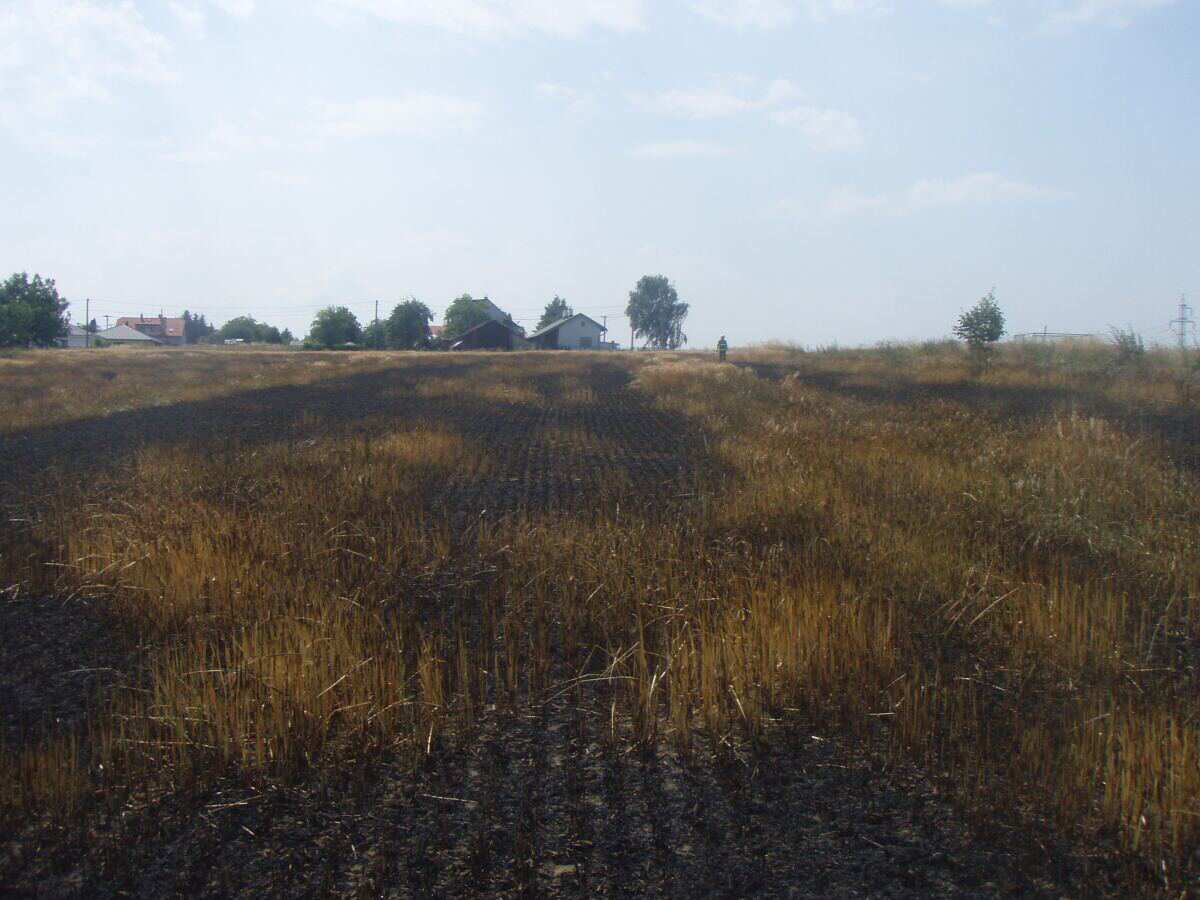 pozarpoleobiliDolniLutyne/pozarpoleobiliDolniLutyne (5).jpg