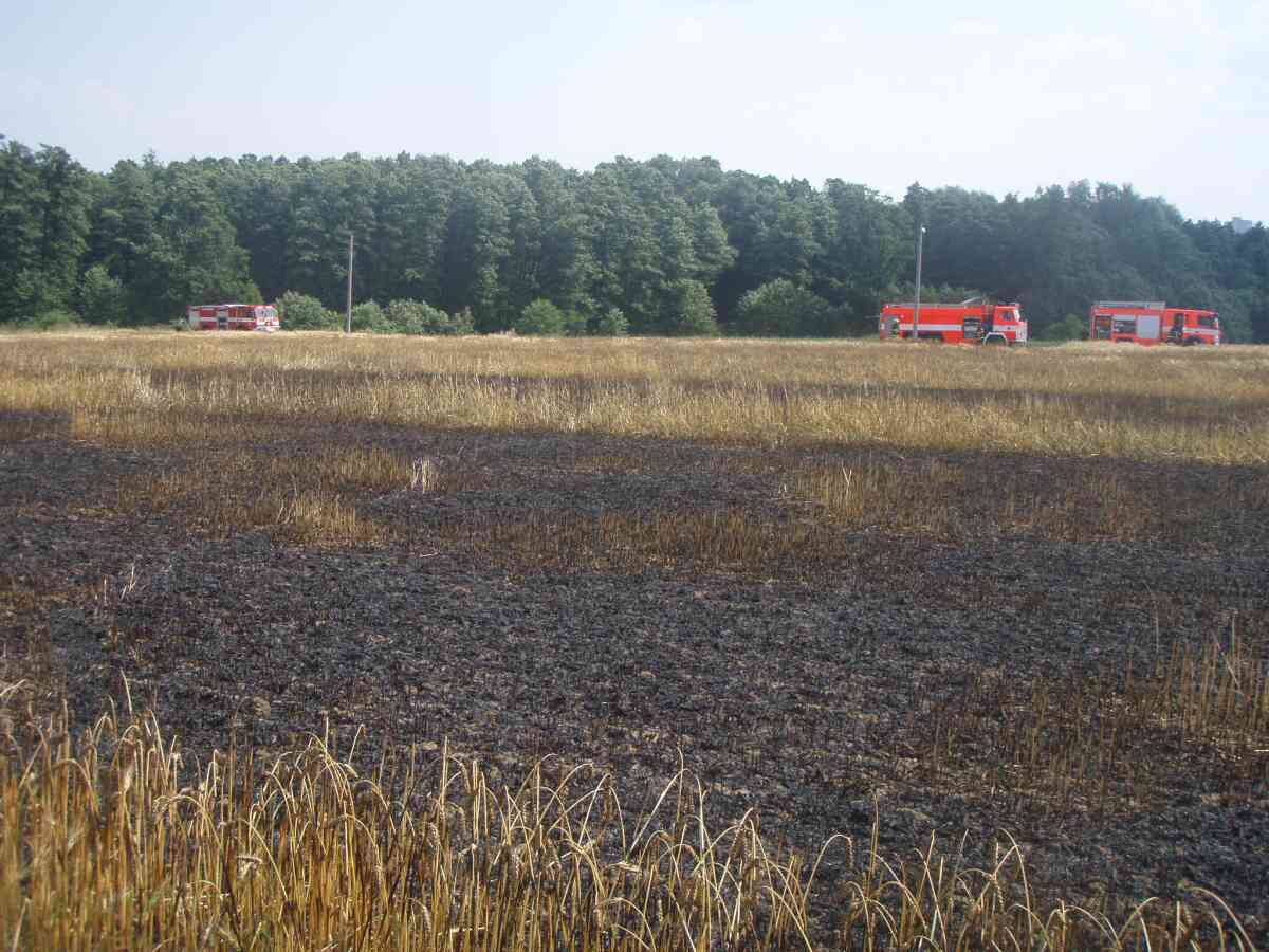 pozarpoleobiliDolniLutyne/pozarpoleobiliDolniLutyne (7).jpg