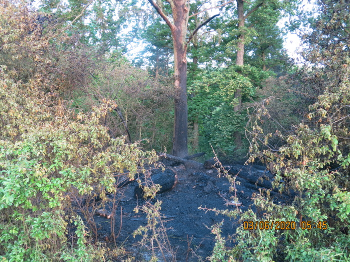 pozarposedHostalkovy (1).JPG