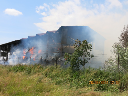 pozarsenikLubomer (NJ) (4).JPG