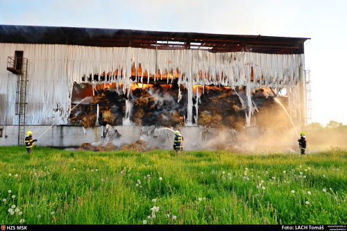 pozarsenikPetrvaldik (NJ)_Lach  (6).JPG